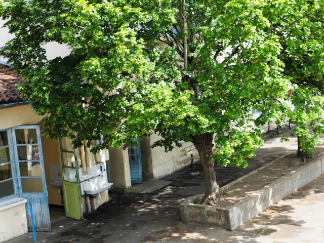 IMG_NotreDame-Riberac-Cour02